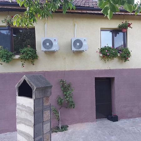 Yanovets Guest House „Ivanovata House” מראה חיצוני תמונה