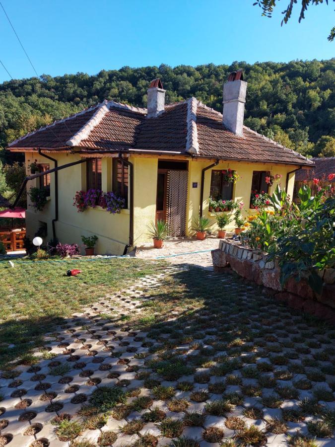 Yanovets Guest House „Ivanovata House” מראה חיצוני תמונה