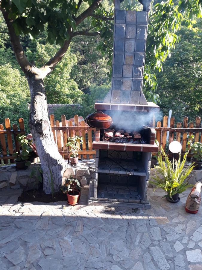 Yanovets Guest House „Ivanovata House” מראה חיצוני תמונה