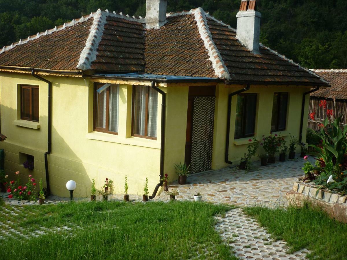 Yanovets Guest House „Ivanovata House” מראה חיצוני תמונה