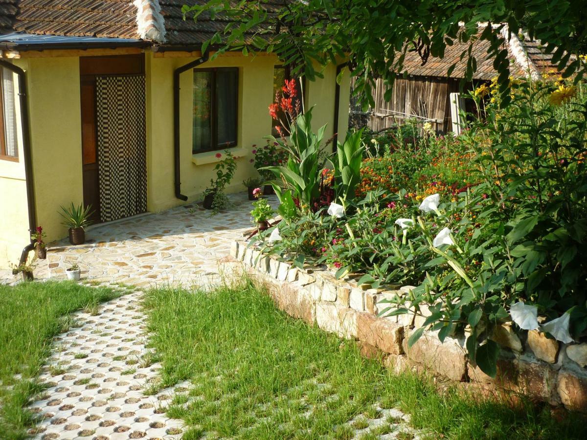 Yanovets Guest House „Ivanovata House” מראה חיצוני תמונה